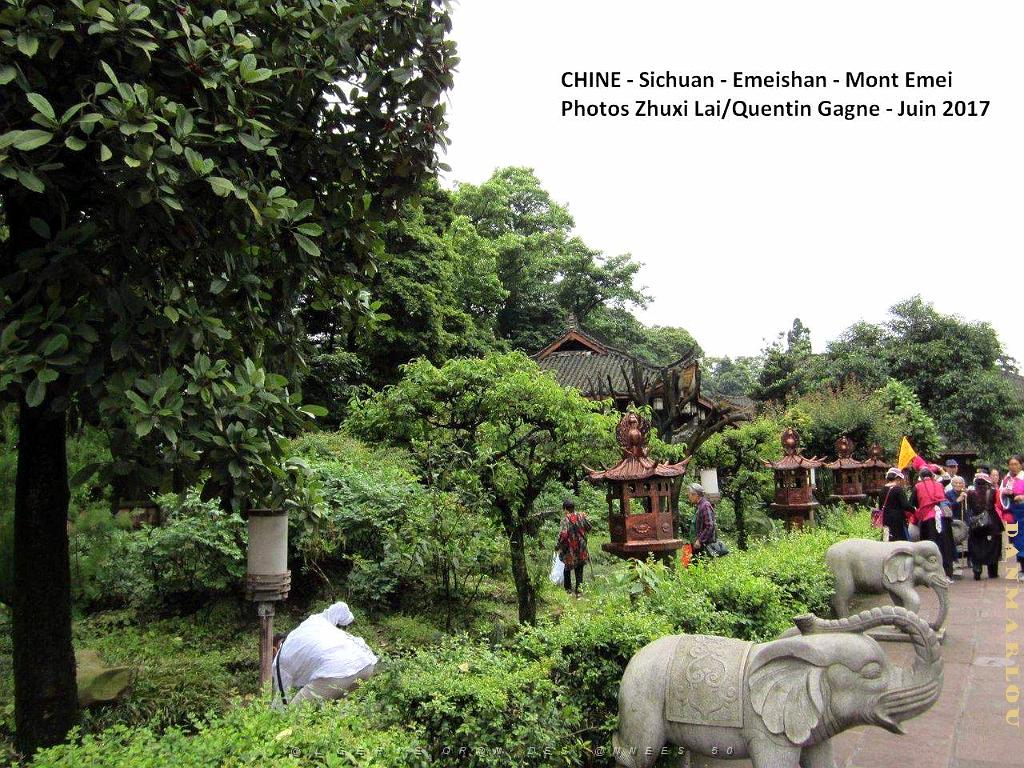 Emeishan 068.JPG
